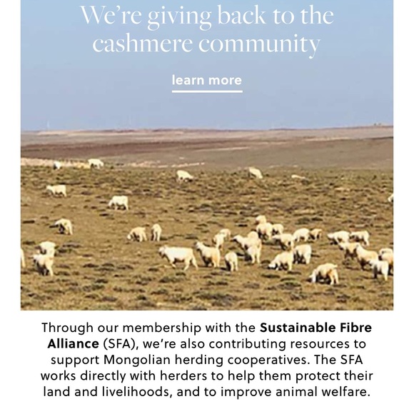 NEW J Crew Oversized 100% Cashmere Wrap Stripe 86” by 36” Blue & White - Picture 6 of 6